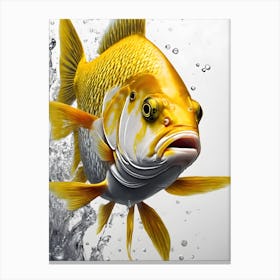 Fish In Water Canvas Print