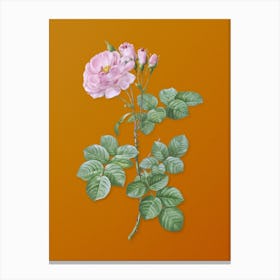 Vintage Damask Rose Botanical on Sunset Orange Canvas Print
