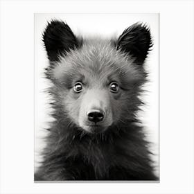 Black And White Photograph Of A Bear Cub 1 Canvas Print