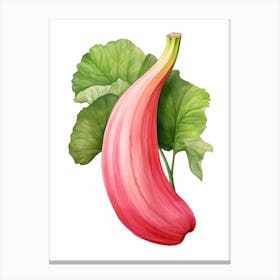 Pink Banana Pumpkin Watercolour Illustration 3 Canvas Print