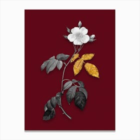 Vintage Big Leaved Climbing Rose Black and White Gold Leaf Floral Art on Burgundy Red n.0929 Canvas Print