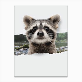 Raccoon Torn Paper Canvas Print