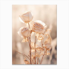 Boho Dried Flowers Rose 4 Canvas Print