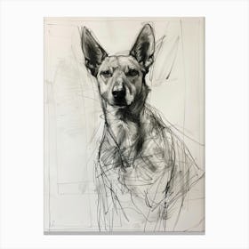 Canaan Dog Charcoal Line 1 Canvas Print