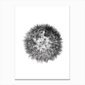 Grey Grafic Dandelion Canvas Print