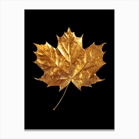 Gold Leaf Isolated On Black Background Canvas Print