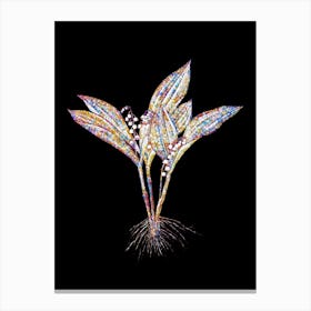 Stained Glass Lily of the Valley Mosaic Botanical Illustration on Black n.0329 Canvas Print