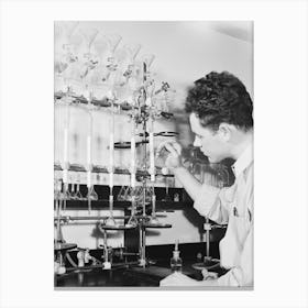 G F Bailey, Scientific Aide, At Work On Carotene Test Of Dehydrated Vegetables At The Regional Agricultural Research Canvas Print