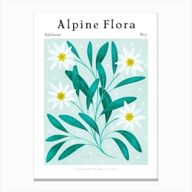 Alpine Flora Edelweiss Canvas Print