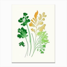 Cilantro Spices And Herbs Minimal Line Drawing 1 Canvas Print