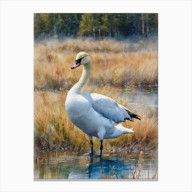 Tundra Swan Canvas Print