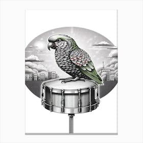 Paco Parrot On Drum Canvas Print