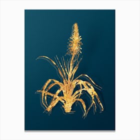 Vintage Pina Cortadora Botanical in Gold on Teal Blue n.0281 Canvas Print