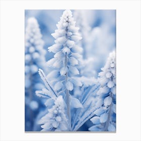Frosty Botanical Bluebonnet 4 Canvas Print