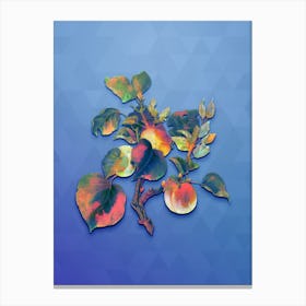 Vintage Apricot Botanical Art on Blue Perennial n.0139 Canvas Print