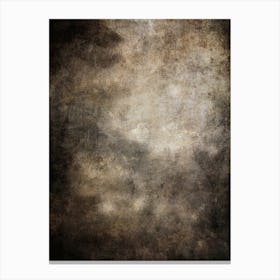 Harmonious Decay Canvas Print