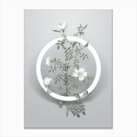 Vintage Hedge Rose Minimalist Botanical Geometric Circle on Soft Gray n.0416 Canvas Print