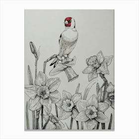 Goldfinch and daffodils Canvas Print