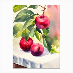 Plum Italian Watercolour fruit Canvas Print