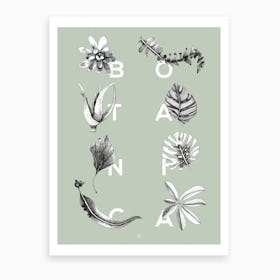 Botanica Letters Mint Art Print