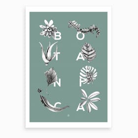 Botanica Letters Seagreen Art Print