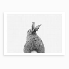 Rabbit Tail BW I Art Print