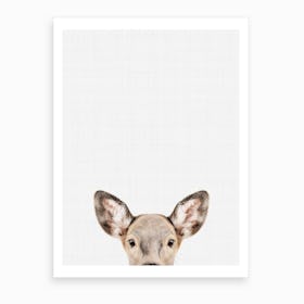 Doe Print I Art Print