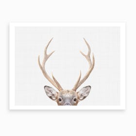 Deer I Art Print