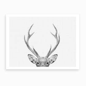 Deer BW I Art Print