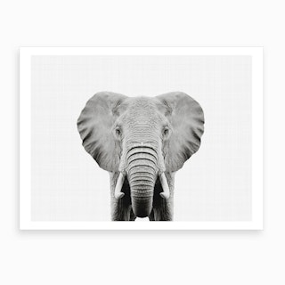 Elephant BW I Art Print