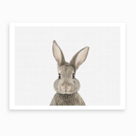 Rabbit I Art Print