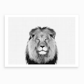 Lion BW II Art Print