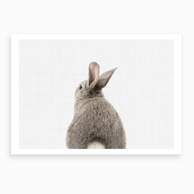 Rabbit Tail I Art Print