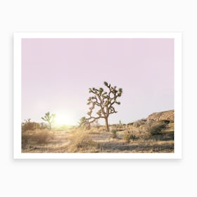 Desert Sunset II Art Print