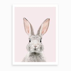 Bunny Face Blush Art Print