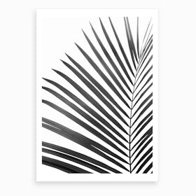 Palm Leaf Black Art Print