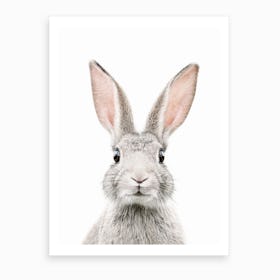 Bunny Face Art Print
