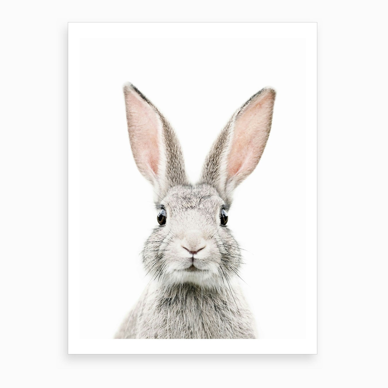 Bunny Face Art Print by Sisi and Seb - Fy