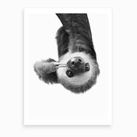 Sloth BW Art Print