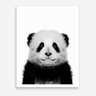 Panda Bear Art Print