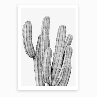 Boho Cactus Art Print