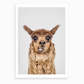 Happy Llama Art Print
