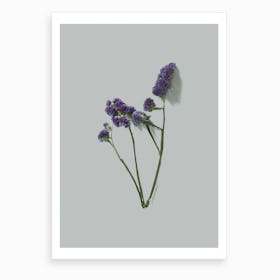 Violet Little Flowers I Art Print