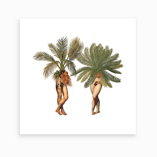 The Palms II Art Print