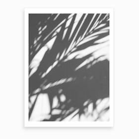 Leaves Shadow Black And White Art Print