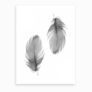 Double Feathers Art Print