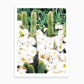 Cactus And Bloom Art Print