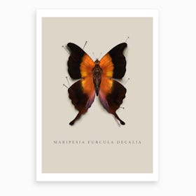 Butterfly No4 Art Print