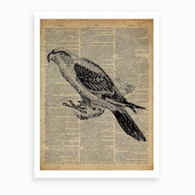 Parrot Bird Art Print