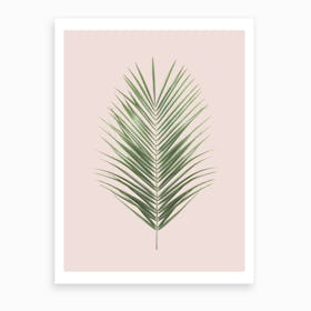 Blush Palm Leaf Art Print